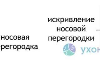 Искривление перегородки носа: причины, последствия, операция и лечение