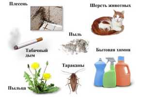 Чихание: причины и как развивается, провокаторы и формы, тактика лечения для здоровья