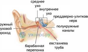 Стреляет в ухе: причины, норма и болезни, лечение, профилактика, советы специалистов