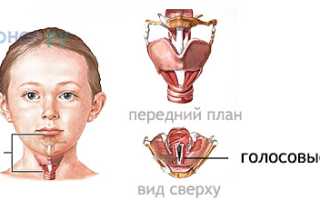 Пропал голос: причины, что делать, как лечить и восстановить здоровье