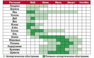 Поллиноз: причины, признаки, диагностика, как лечить, профилактика и советы