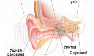 Заложенность уха: обзор всех возможных причин и вариантов их устранения и рекомендаций