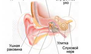 Нарушения слуха: причины, формы, признаки, диагностика, лечение, профилактика и рекомендации