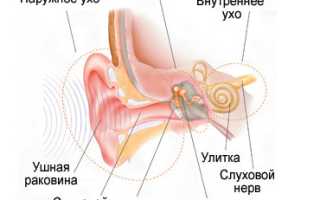 Нарушения слуха: причины, формы, признаки, диагностика, лечение, профилактика и рекомендации