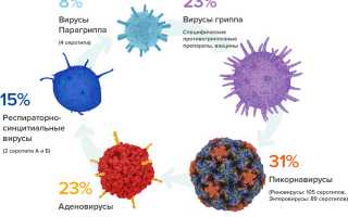 Вирусная пневмония: эпидемиология, признаки и течение, виды, диагностика, как лечить и профилактика