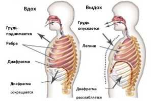 Утренний кашель: причины, формы, диагноз, как лечить и профилактика