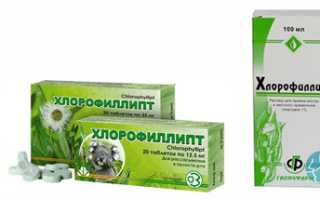 Хлорофиллипт в лечении горла: формы выпуска, как применять, показания и рекомендации