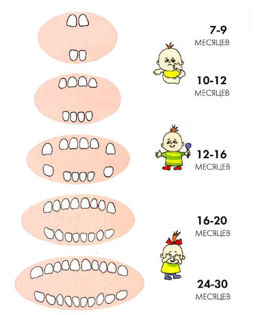 3745873495399394857