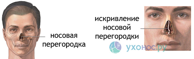 38478237487234
