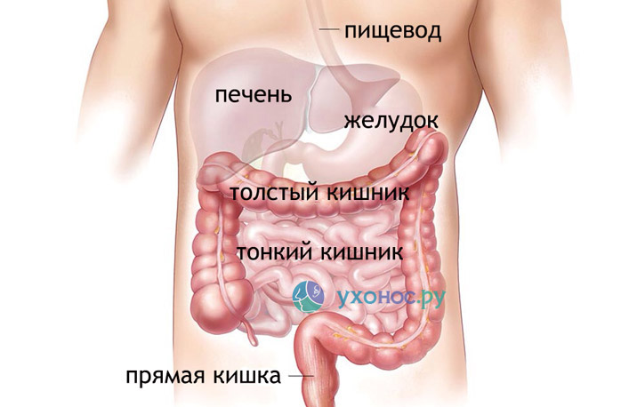 48664848846648