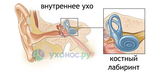 54653645623