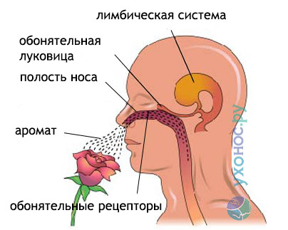 6347238748288