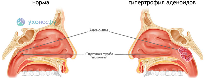 735345938495739499