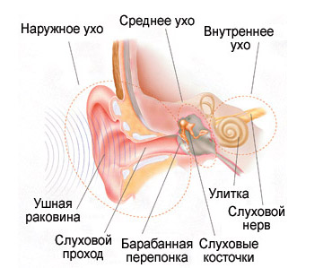 74897489538457