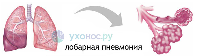76786678867687