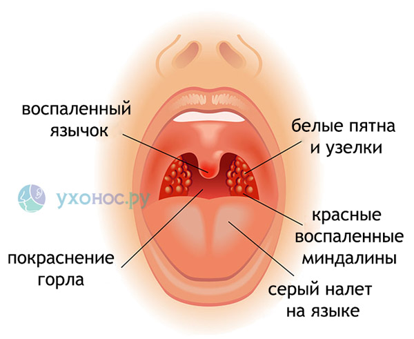 773390390490