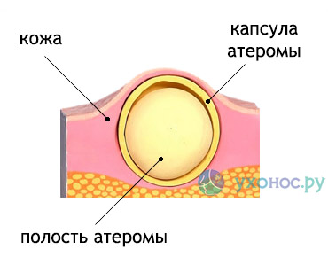 83402002