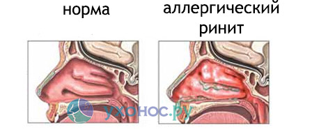укшгушцкгшцу