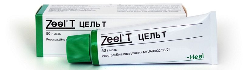 Цель Т – гомеопатический лекарственный препарат Цель Т