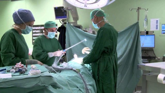 priznaki-raka-prjamoj-kishki-pervye-simptomy