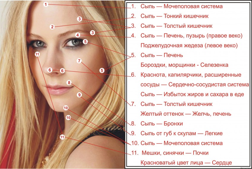Прыщи на висках - особенности и причины появления. Принципы и методы современного лечения и избавления от прыщей (90 фото + видео)