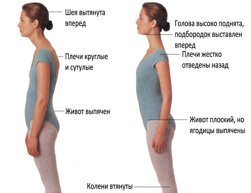 Лопатка расположена недалеко от ключицы и плечевой кости Боль под лопатками на спине